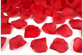 rosenblaetter rot 