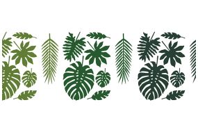 tropical blaetter 1 