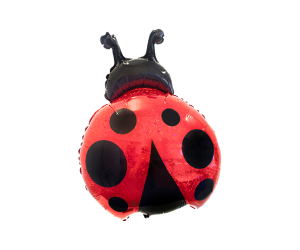 geschenkballon glueckskaefer 1 