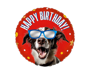 geschenkballon hund happybirthday 
