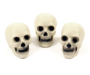 totenkopf 1 