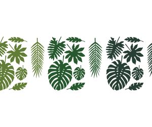 tropical blaetter 1 