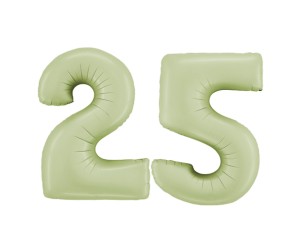 zahl 25 satin olive midi 