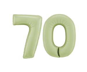 zahl 70 satin olive midi 