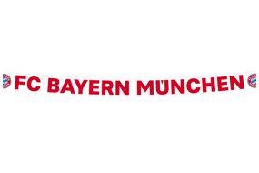 bayern muenchen banner 