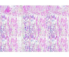 deko vorhang glitzer 1 