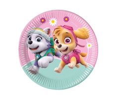 sky paw patrol teller 